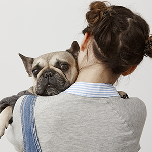 cuidado de mascotas y alimento para mascotas nutribon