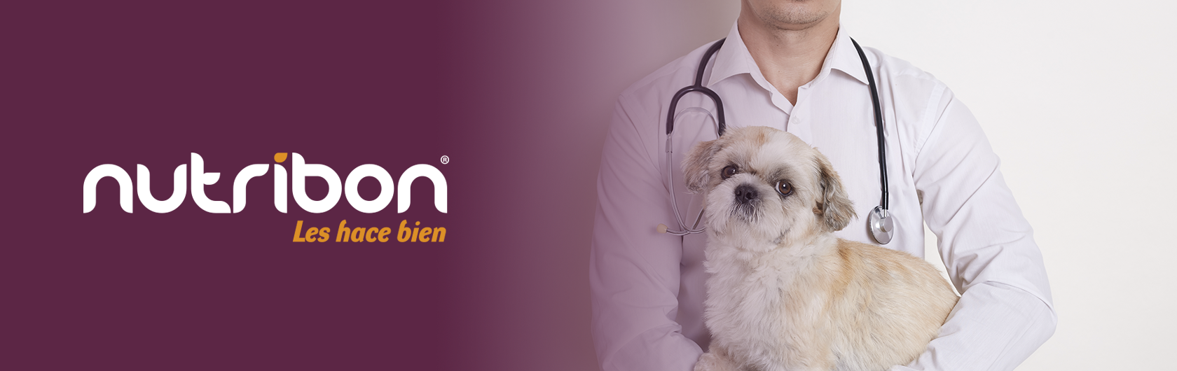 desparasitacion de perros y desparasitacion de gatos alimento para perros y alimento para gatos nutribon