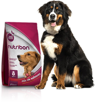 alimento para perros nutribon