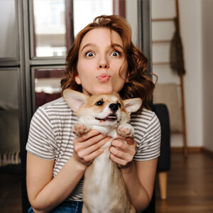 actividades en casa para perros y gatos y alimentacion para perros y gatos miniatura
