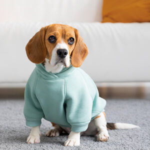 Razas de perros pequeños