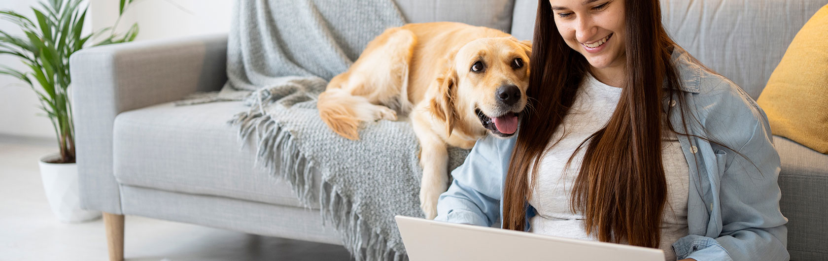 como eliminar las pulgas de la casa y alimento para mascotas de calidad nutribon
