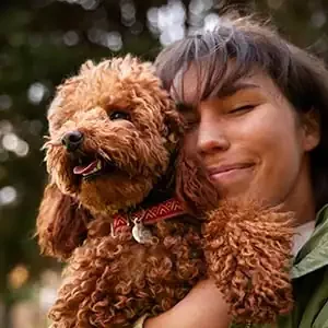Comida para mascotas y las preferencias alimentarias de los perros de calidad nutribon miniatura