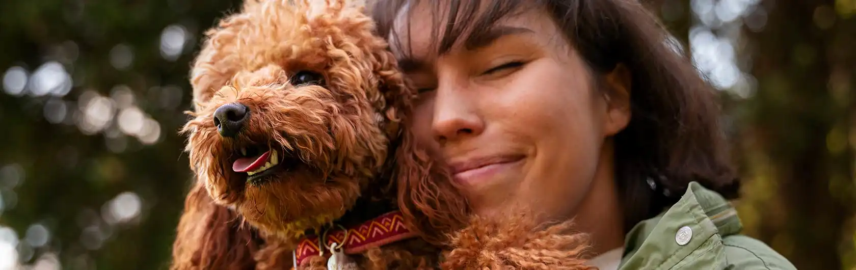 Comida para mascotas y las preferencias alimentarias de los perros de calidad nutribon